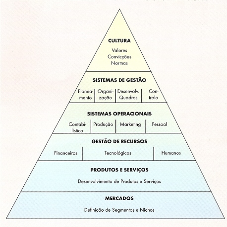 Pirâmide de Desenvolvimento Organizacional Pirâmide de Desenvolvimento Organizacional
